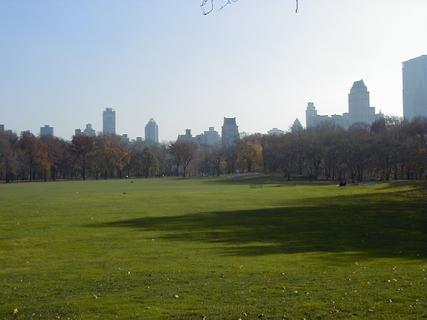 Sheep Meadow, Central Park<br>Location: <a href="https://www.google.com/maps/search/?api=1&query=40.77288,-73.97582" target="_new">Sheep Meadow, Central Park</a>